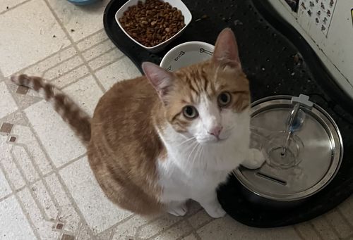 Customer photo review of Surprise Gift