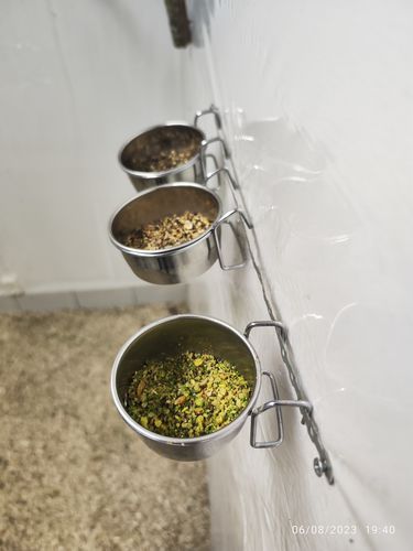 Customer photo review of Verdure Rul Eivoer 3kg ( + Vitamine Complex ), Op Basis van wortel, venkel en tomaat - Pineta Zootecnisi