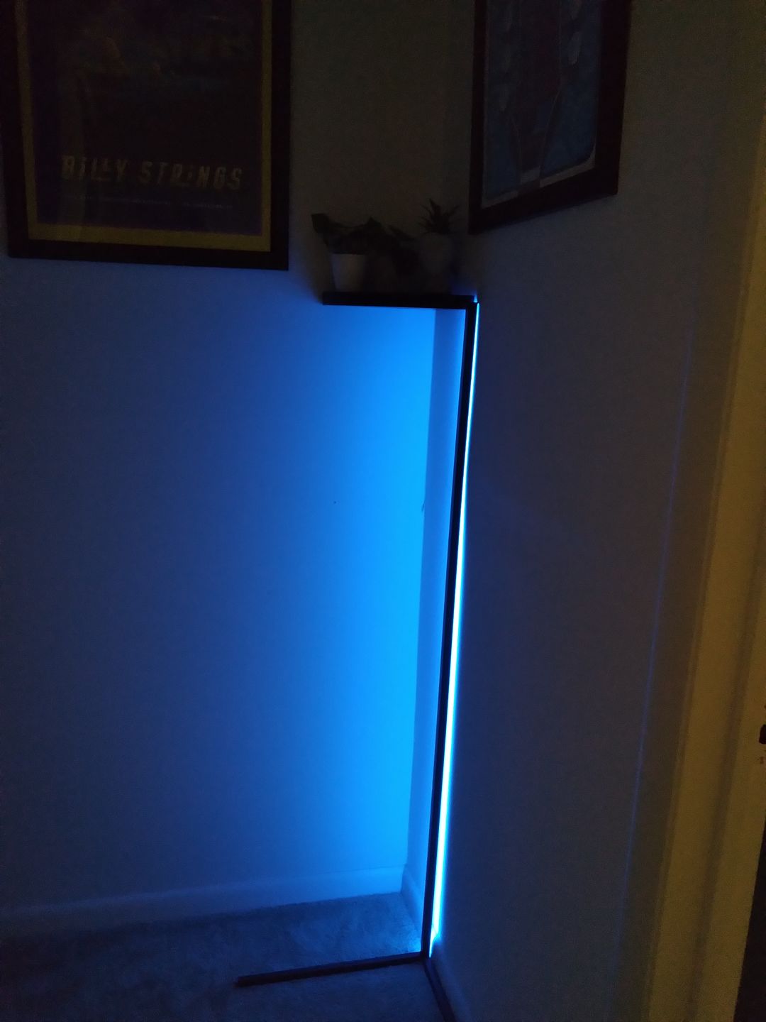 Customer photo review of LED Color Changing Light — LitLamp™
