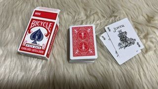 Customer photo review of Bicycle Mini Red Playing Cards