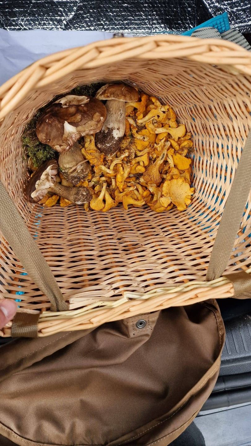 Customer photo review of Mushroom Picking Backpack, Wicker Basket, Foraging Basket Rucksack