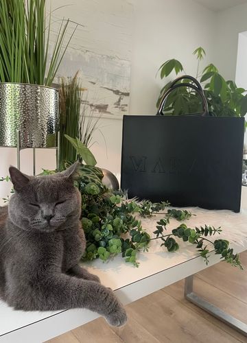 Customer photo review of MOANA - BLACK