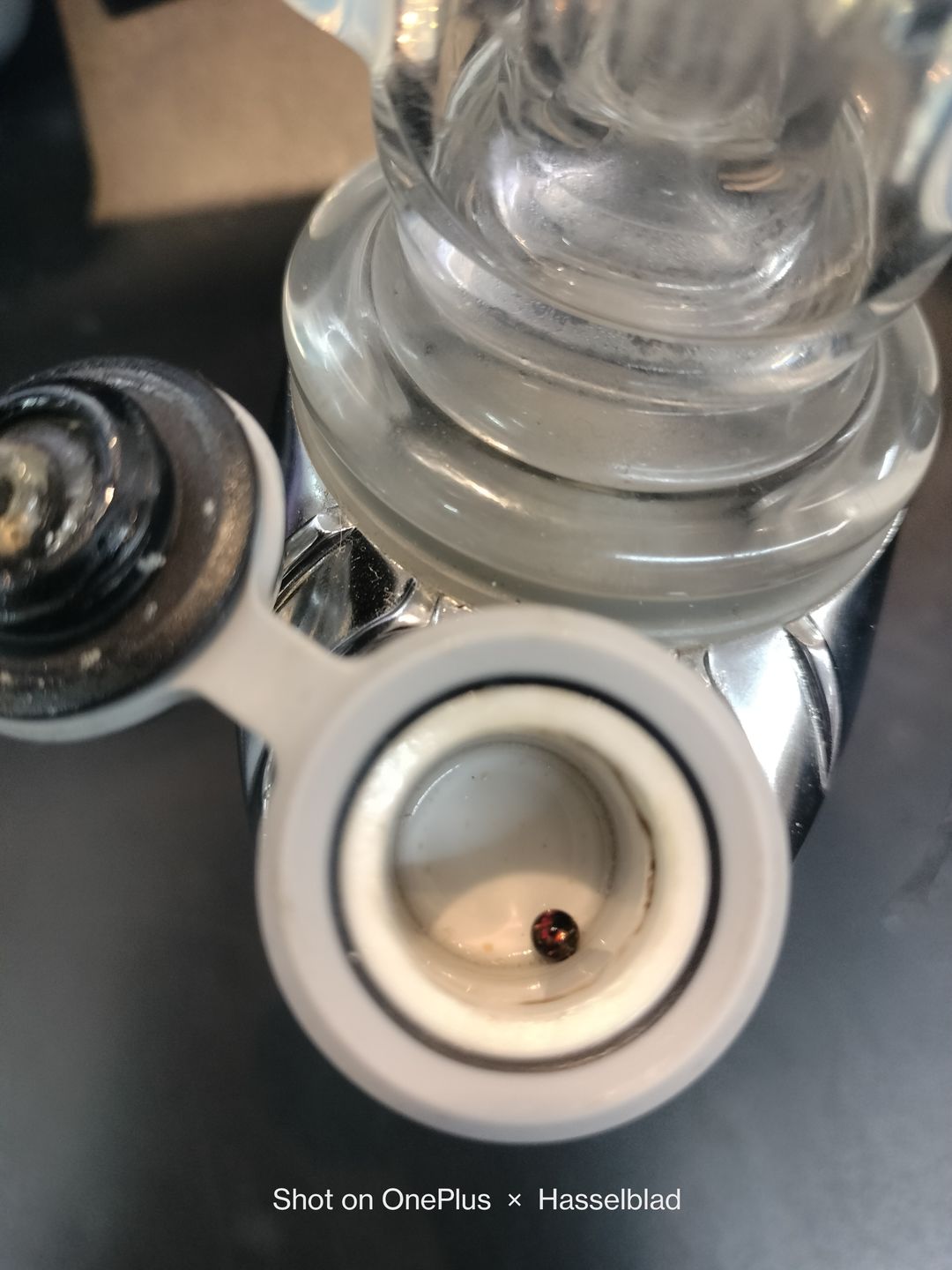 Customer photo review of 3mm Opal Terp Pearls
