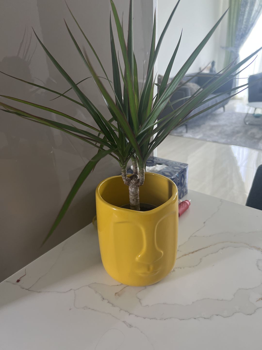 Customer photo review of Ceramic Face Vase 12 Cm - Yellow 15764-04