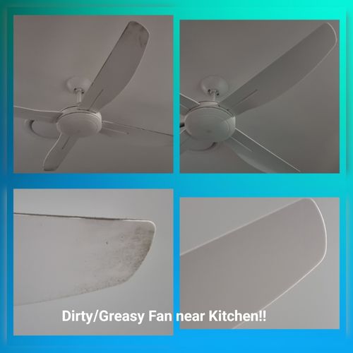 Customer photo review of SHYN DEGREASER
