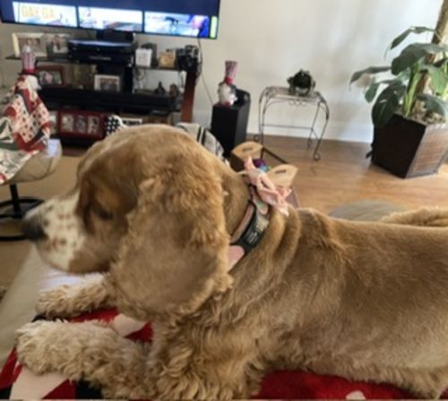 Customer photo review of ByteTag Slide