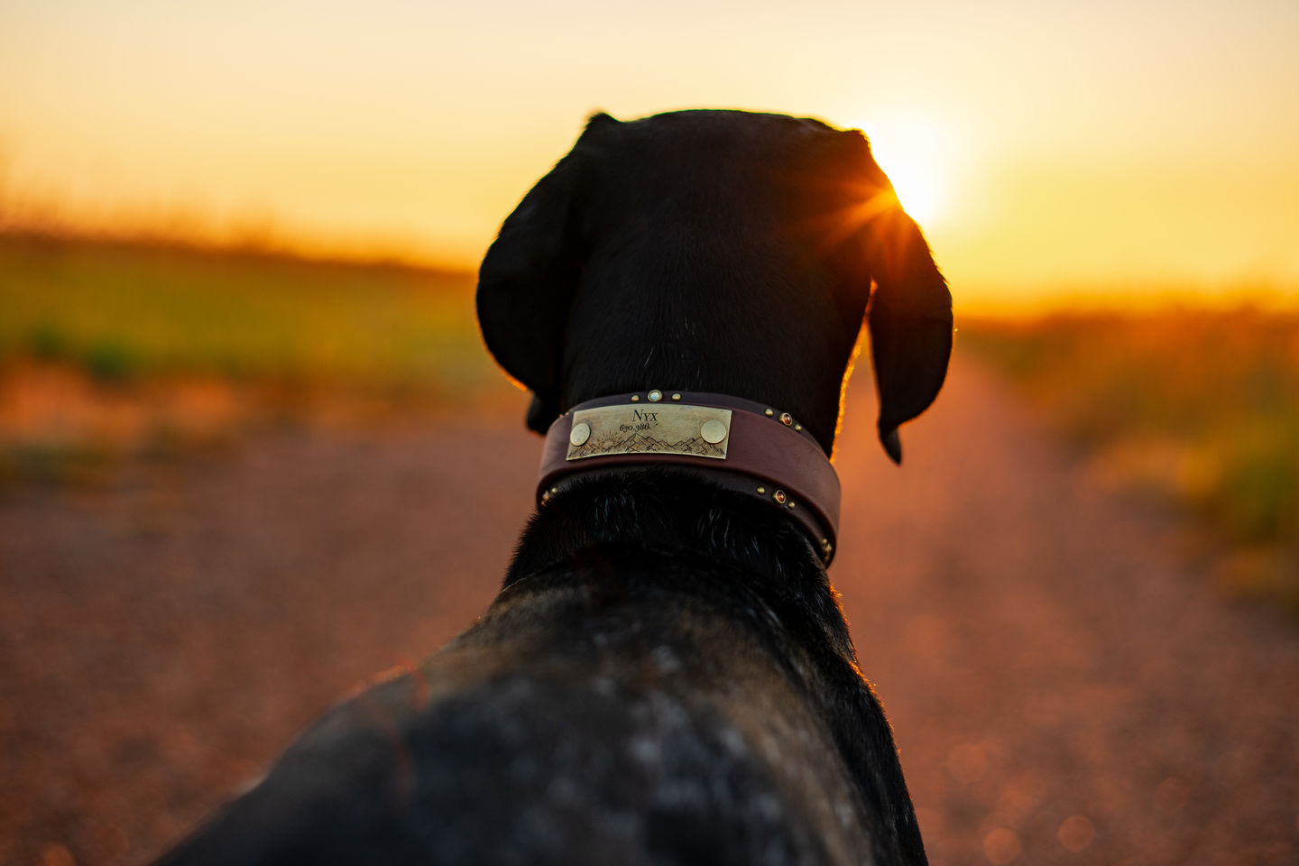 Customer photo review of Designer Rivet-On Tag
