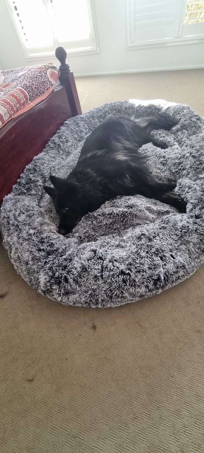 Customer photo review of The Human Size Nap Bed