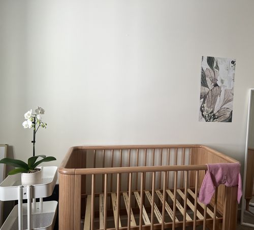 Customer photo review of Blush Peony Floral Wallpaper Mural