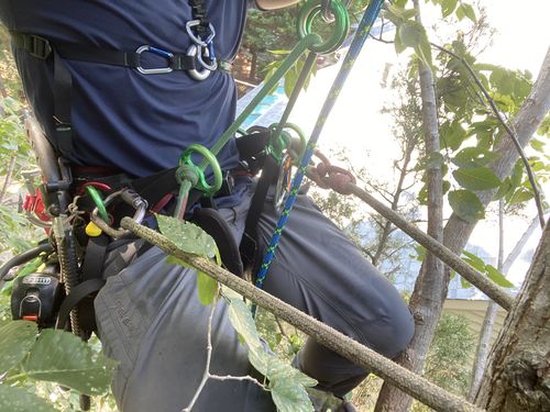 Customer photo review of Thunder X Lanyard w/CMI Micro Pulley