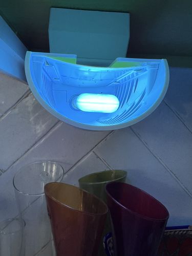 Customer photo review of Shieldeck® BuzzTrap - Plug-In Indoor Insect Smart UV Trap