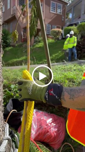 Customer video review of 5/8" Arbo Space LPX Pluto Multi Ring Sling