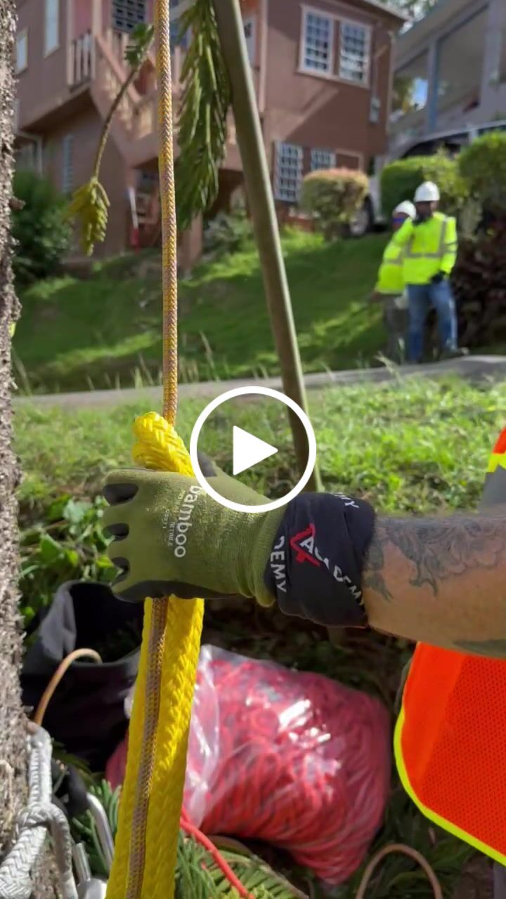 Customer video review of 5/8" Arbo Space LPX Pluto Multi Ring Sling