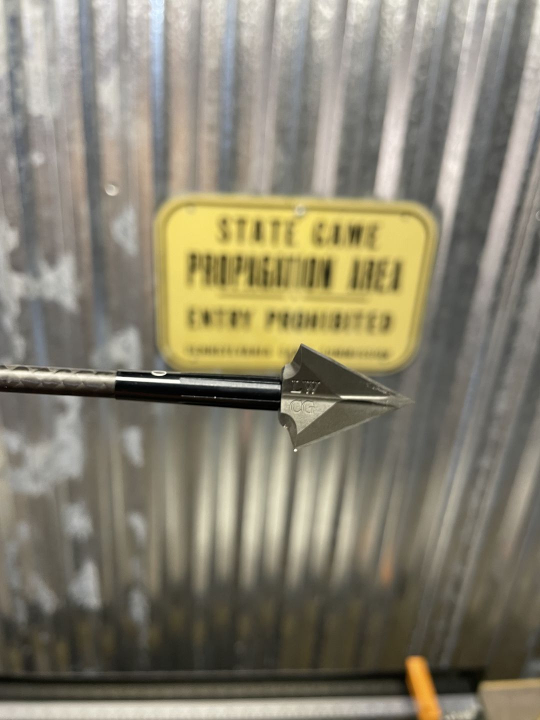 Customer photo review of Arrowhead -3 Blade