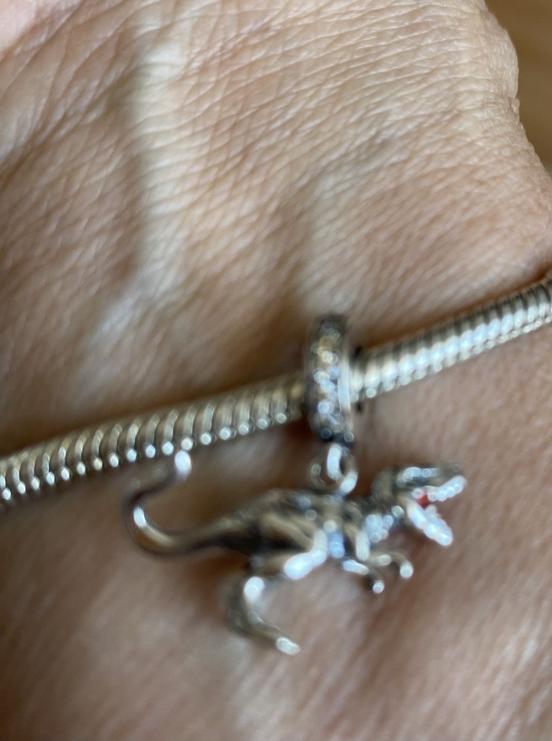 Customer photo review of Charm T-Rex