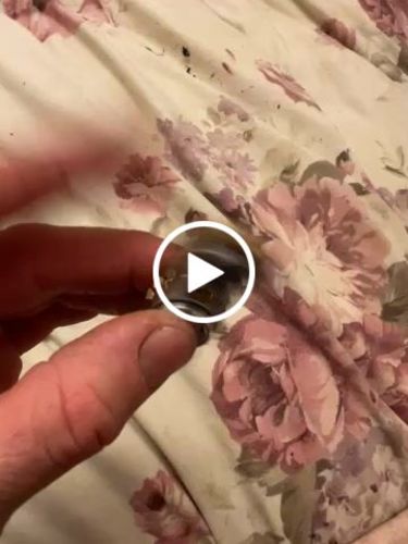 Customer video review of Cog Spinner - 42 grams