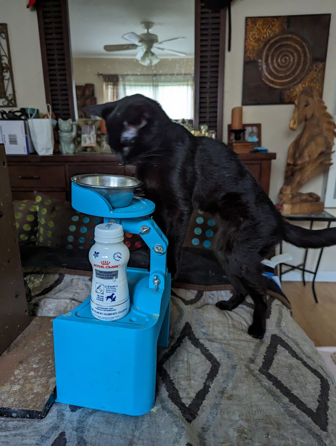Customer photo review of Royal Canin Renal Support Liquid Feline 4pack