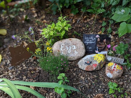 Customer photo review of Katzen Gedenktafel mit Foto & Spruch (UV- und wetterbeständig)