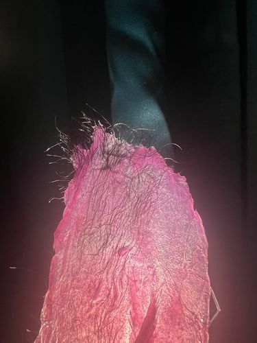 Customer photo review of Signature Series Hair Removal Wax