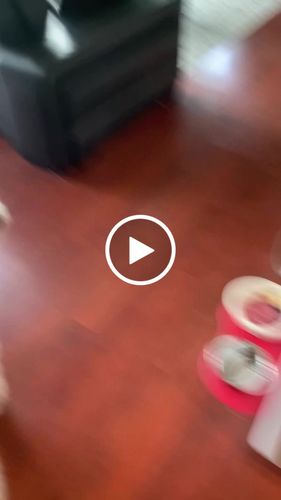 Customer video review of Carnivora Chicken Meaty Bones