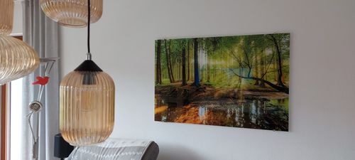 Customer photo review of Acrylglasbild | Wald mit Sonnenstrahlen | Querformat