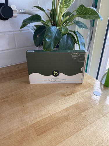 Customer photo review of Laundry Detergent Eco-Sheets™