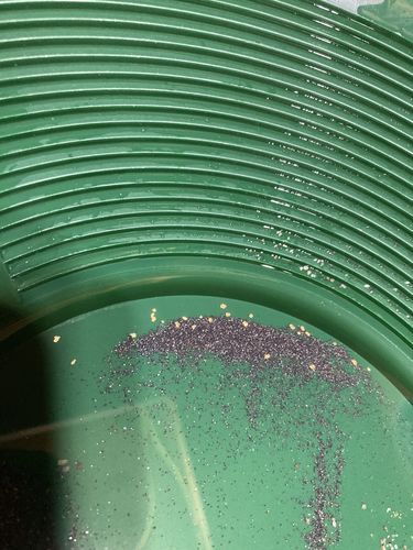 Customer photo review of Mammoth '$10,000 NUGGET HUNT' - Gold Panning Paydirt Concentrate