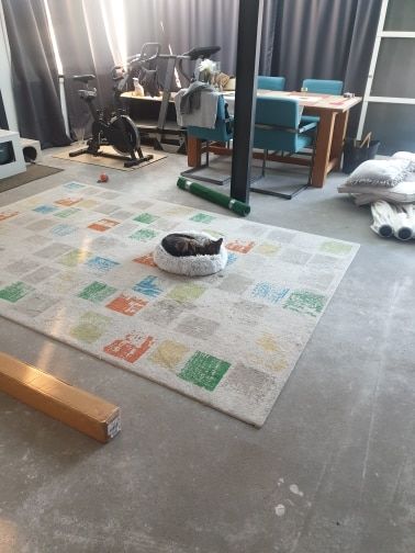 Customer photo review of Shell Bed