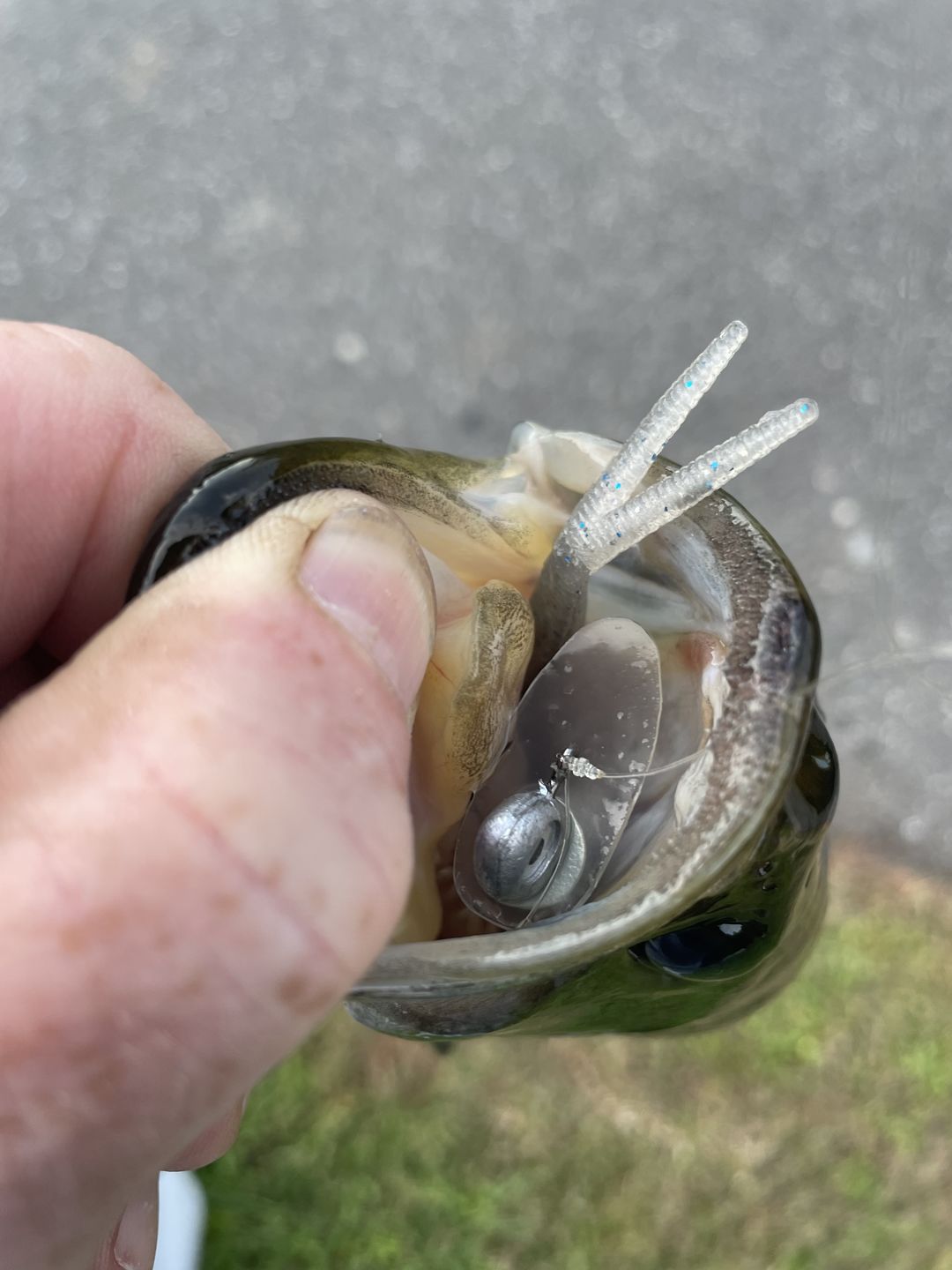 Customer photo review of 2023 Pulse Jig Team Bundle (Discount Auto Applied at Checkout)
