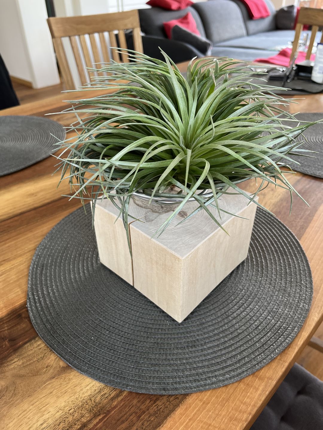 Customer photo review of Tilly Xylo - Gigant
