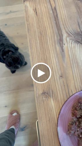 Customer video review of Frischfutter für Energiebedarf von 326 kCal/Tag