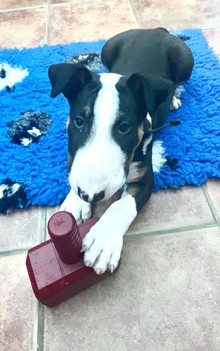 Customer photo review of The Fenrir Hammer