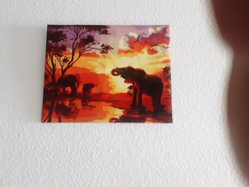Customer photo review of Malen nach Zahlen - Afrikanische Savannenelefanten