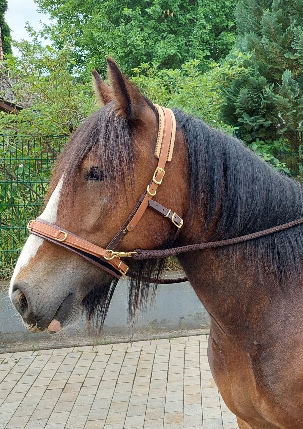 Customer photo review of Wurmtest Basic Pferd