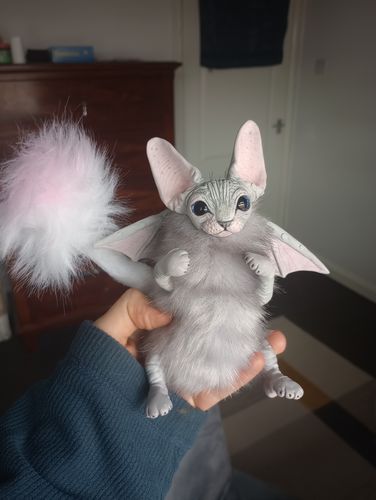 Customer photo review of Baby batcat