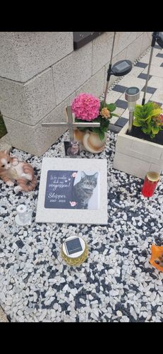 Customer photo review of Katzen Gedenktafel mit Foto & Spruch (UV- und wetterbeständig)