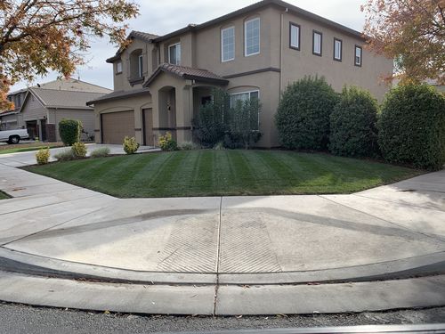 Customer photo review of GCI Turf Spreader Elite Grass Seed