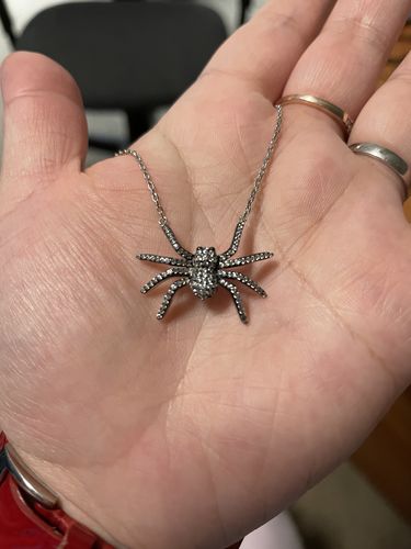 Customer photo review of Spider CZ Pendant Necklace in Sterling Silver