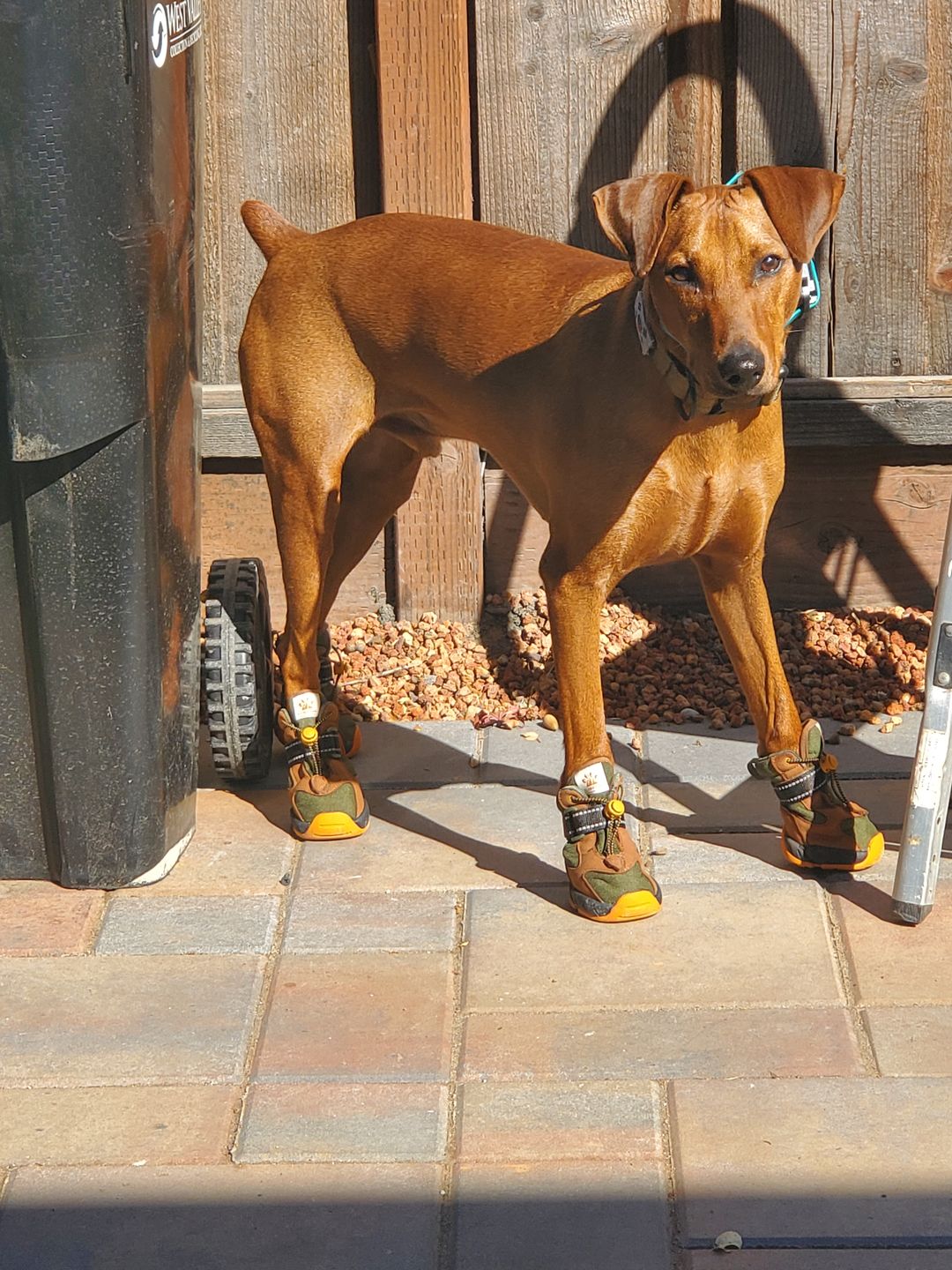 Customer photo review of Apollo 1