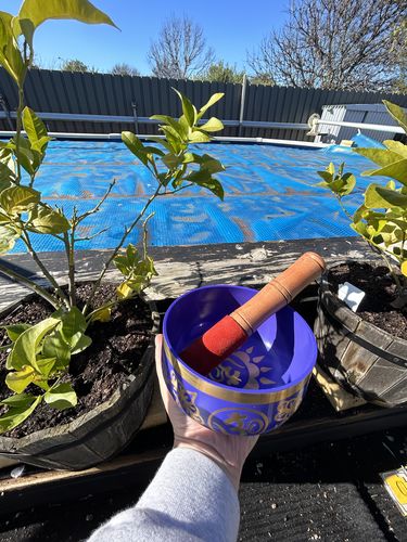 Customer photo review of Third Eye Chakra Singing Bowl- Indigo