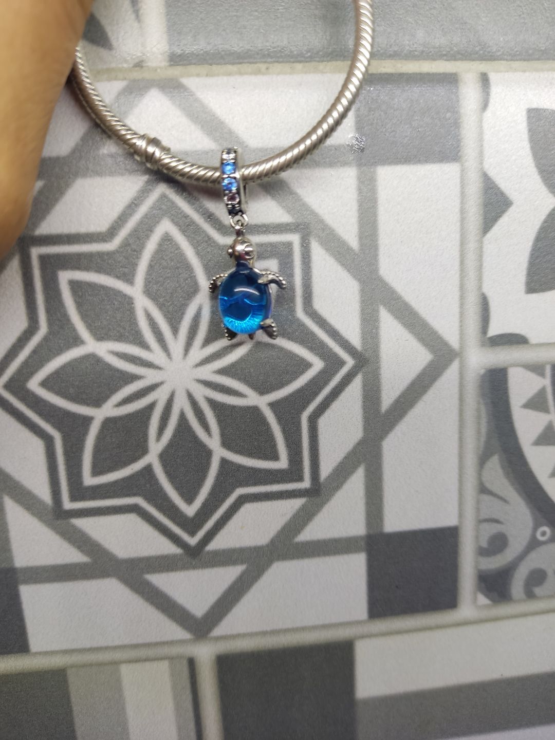 Customer photo review of Charm Tortuga