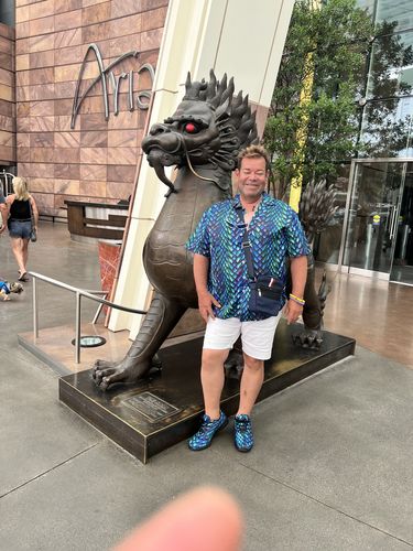Customer photo review of Turquoise Dragon Scales Pattern Print Sport Sneakers