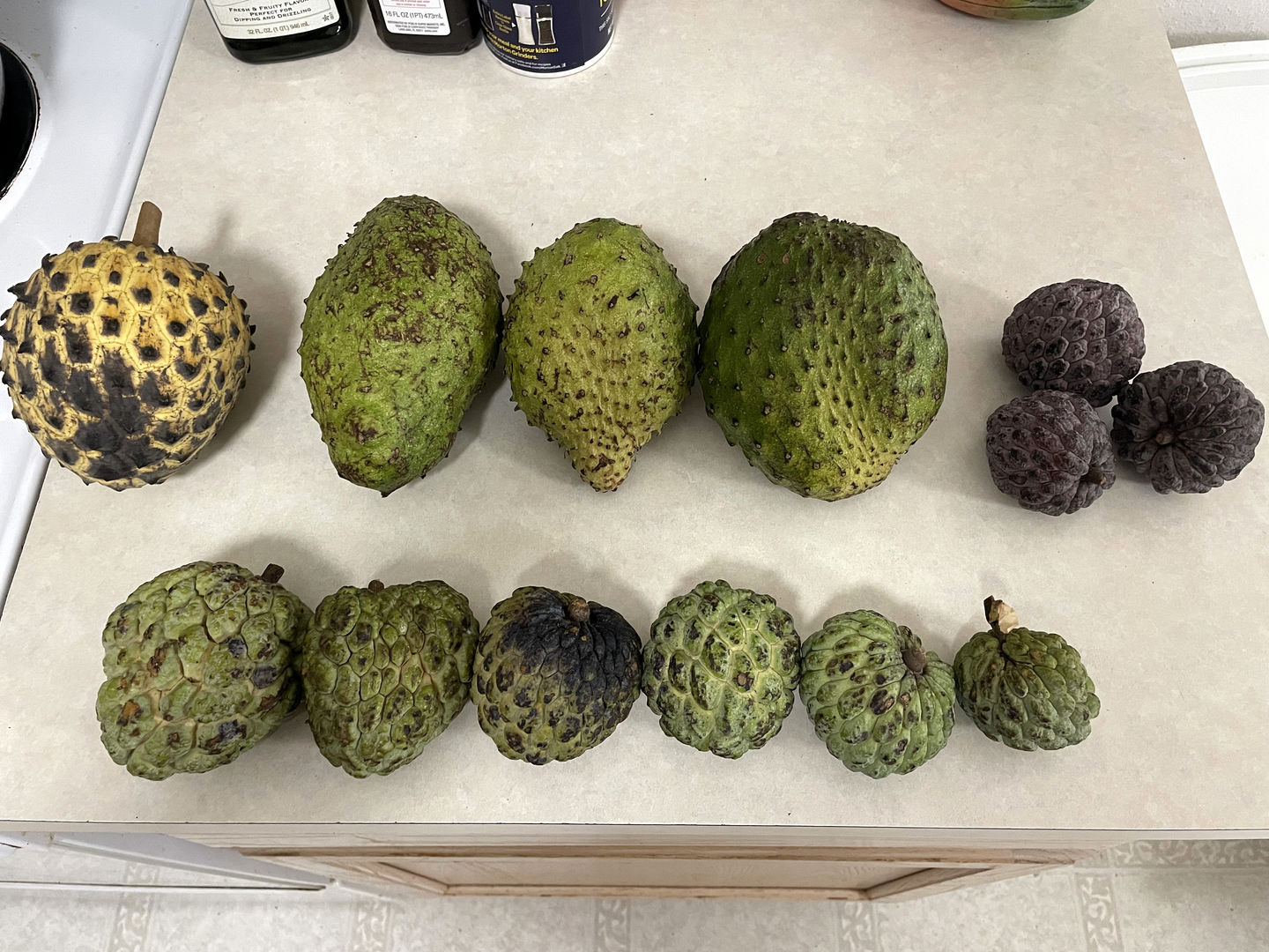 Customer photo review of Annona Variety Box