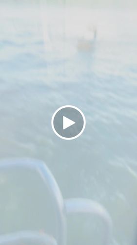 Customer video review of Sinister Sweat