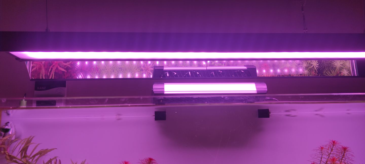 Customer photo review of Chihiros WRGB II pro Shade with mirror