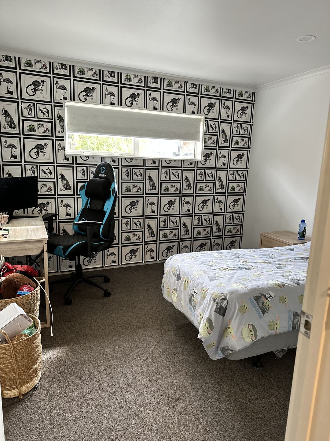 Customer photo review of Mad Dogs Wallpaper