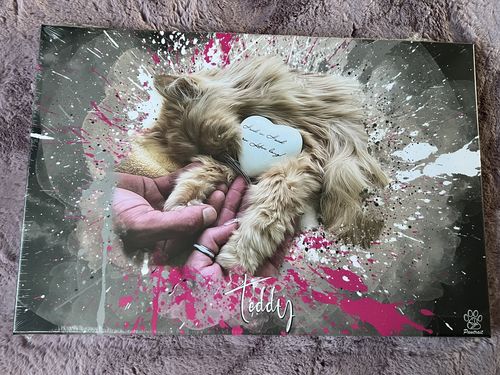 Customer photo review of Graffiti Pawtrait