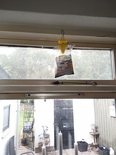 Customer photo review of Engangs flueposer