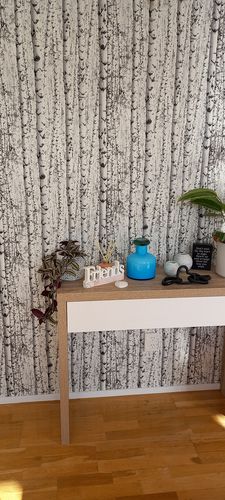 Customer photo review of Birch Trees Wallpaper
