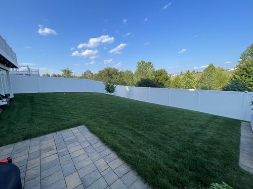 Customer photo review of GCI Turf Ca (Calcium) 1-0-1